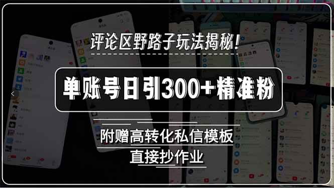 (7.24)评论区野路子玩法揭秘！单账号日引300+精准粉，附赠高转化私信模板，直
