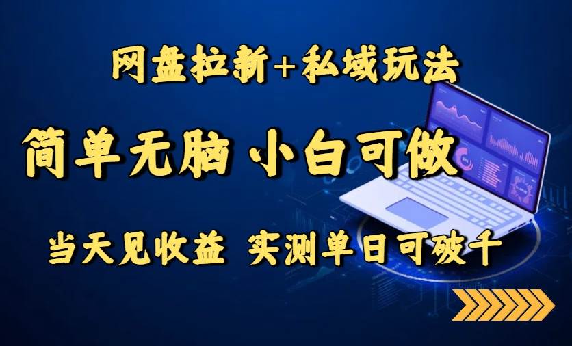 (8.20)网盘拉新+私域玩法，简单无脑，小白可做，当天见收益，实测单日可破千