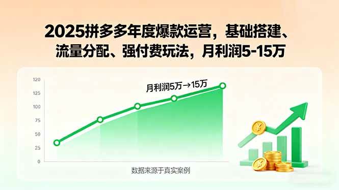(9.12)2025拼多多年度爆款运营，基础搭建、流量分配、强付费玩法，月利润5-15万